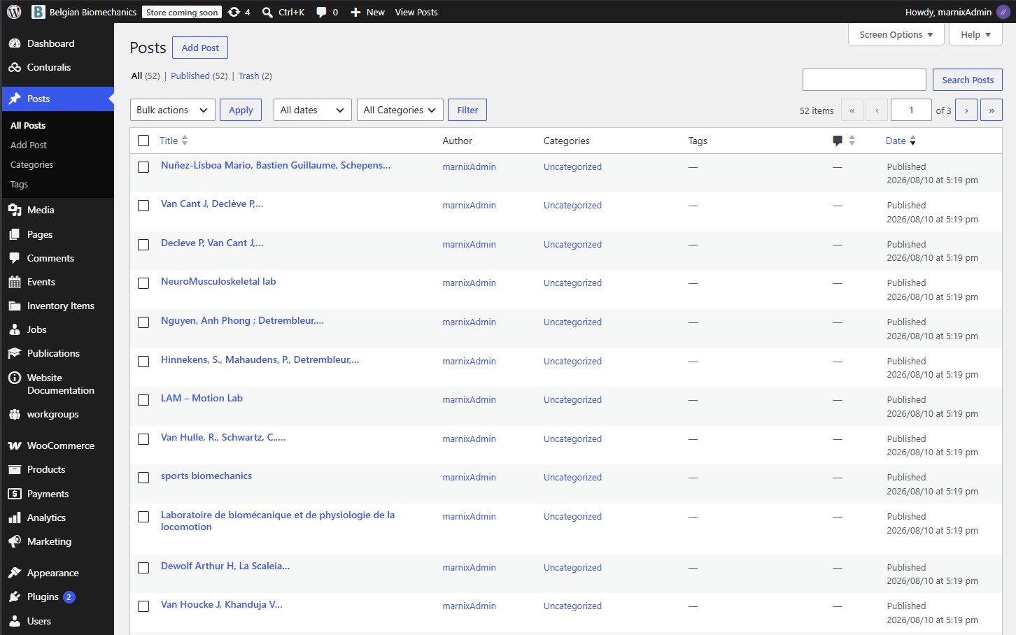 WordPress Posts Overview Screen