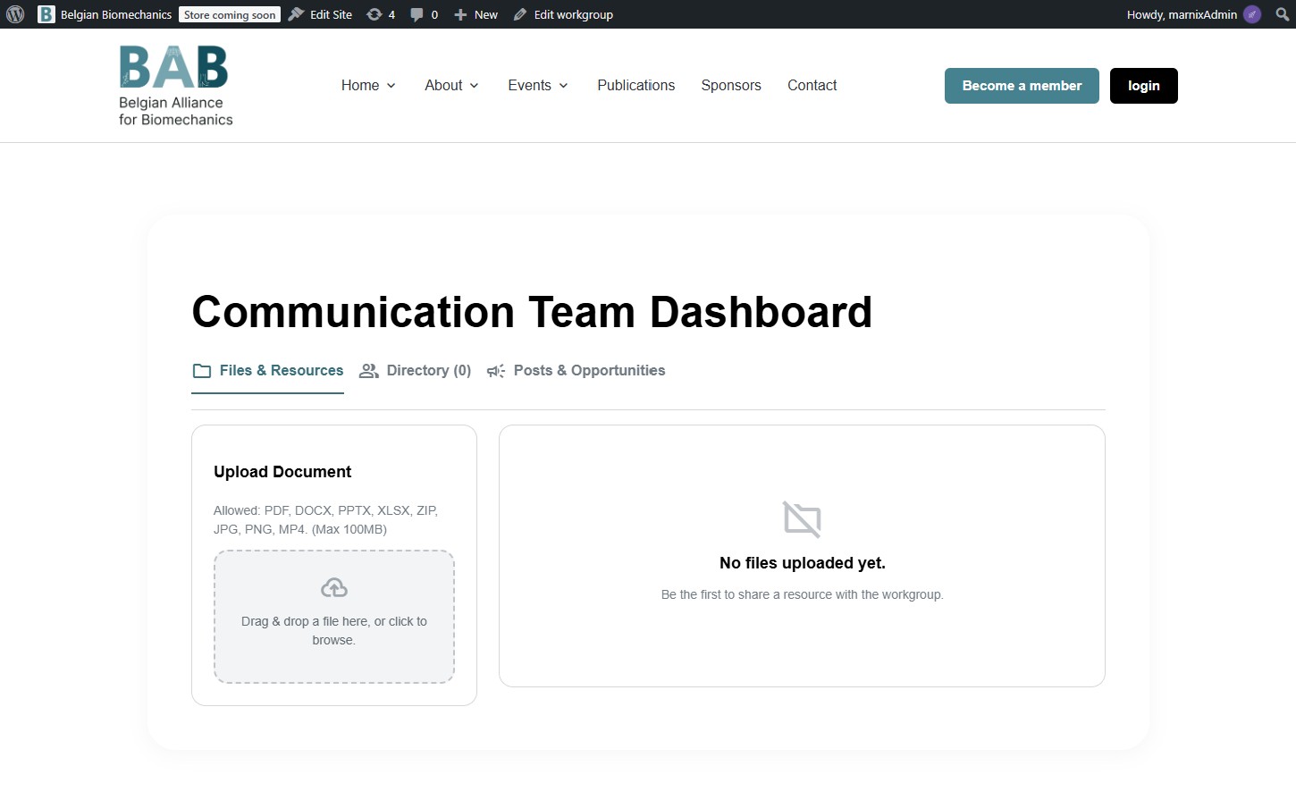 WordPress Admin Menu showing the Working Groups Post Type